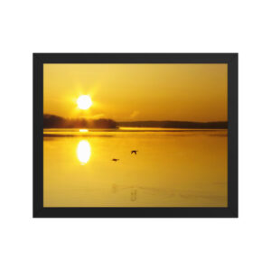 golden sunrise w ducks 11x14 Framed poster