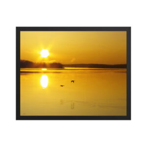 golden sunrise w ducks 16x20 Framed poster