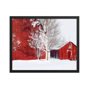 red barn winter 16x20 Framed poster