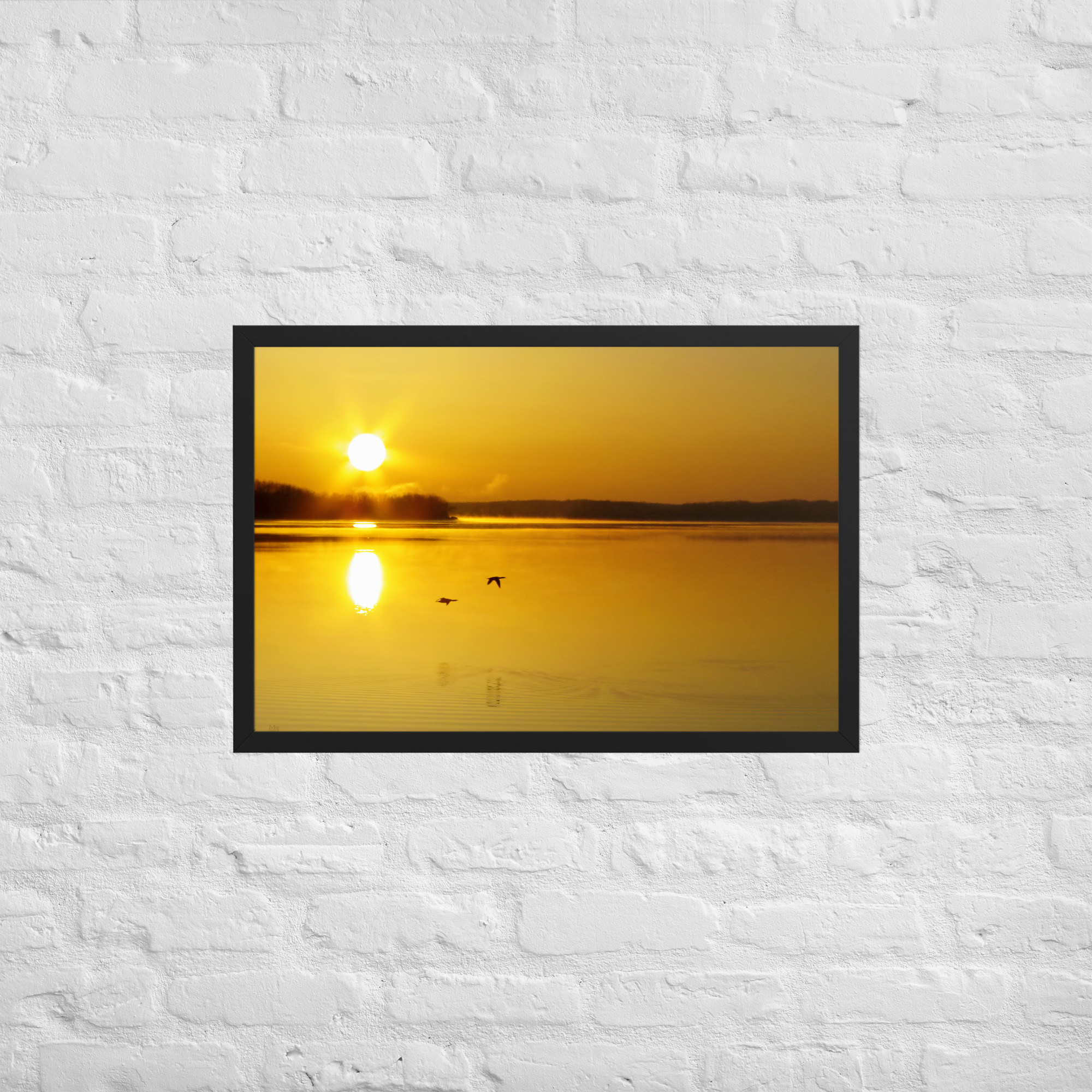 golden sunrise w ducks 20x30 Framed poster