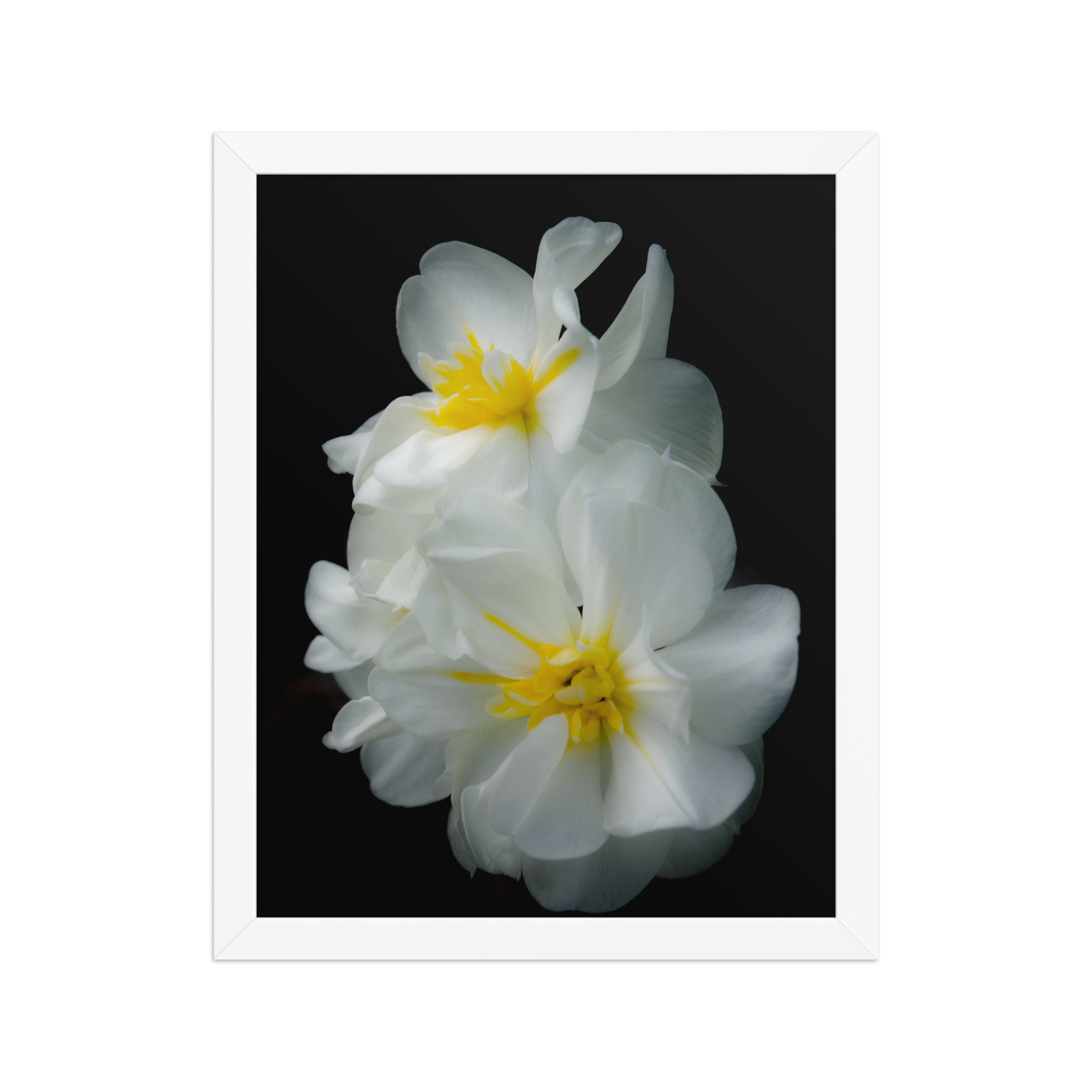 White Beautiful Flowers 11x14 Framed poster - Image 2