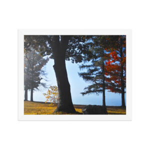 foggy pond morning 11x14 Framed poster