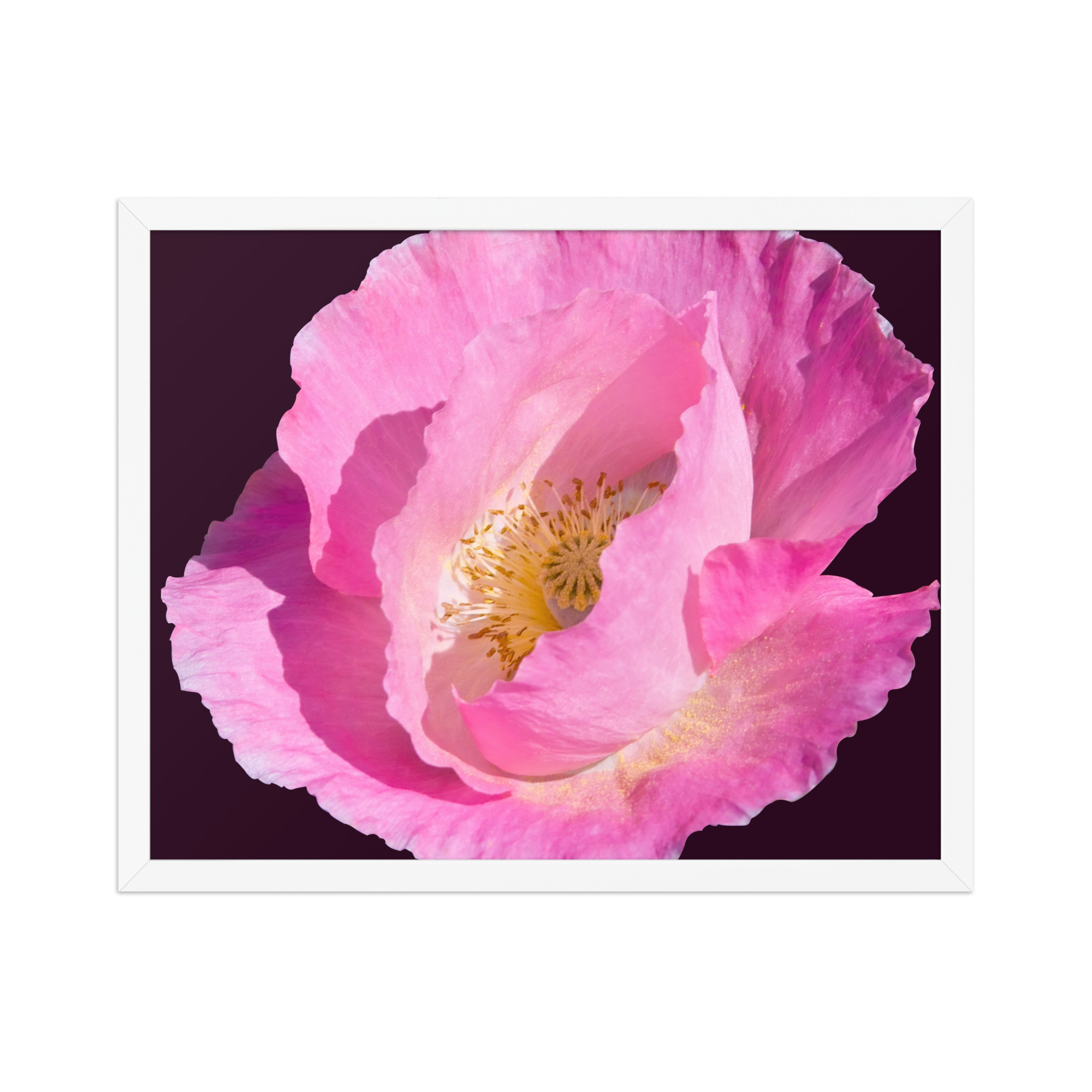 pink flower 16x20 Framed poster - Image 2