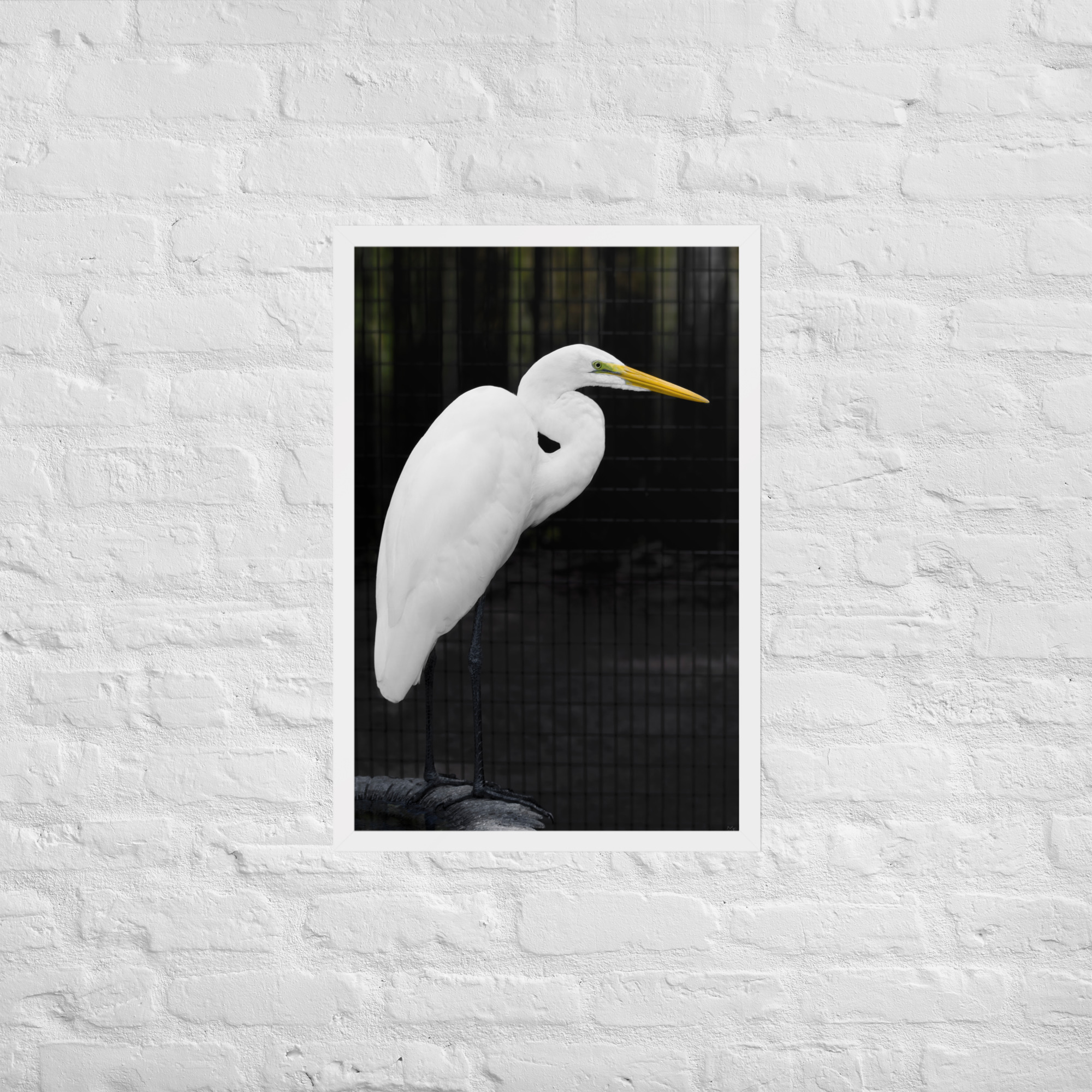 white heron tire 20x30 Framed poster - Image 2