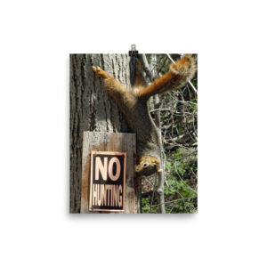 no hunting squirrel 10x8 Poster