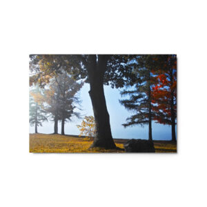 foggy pond morning 20x30 Metal prints