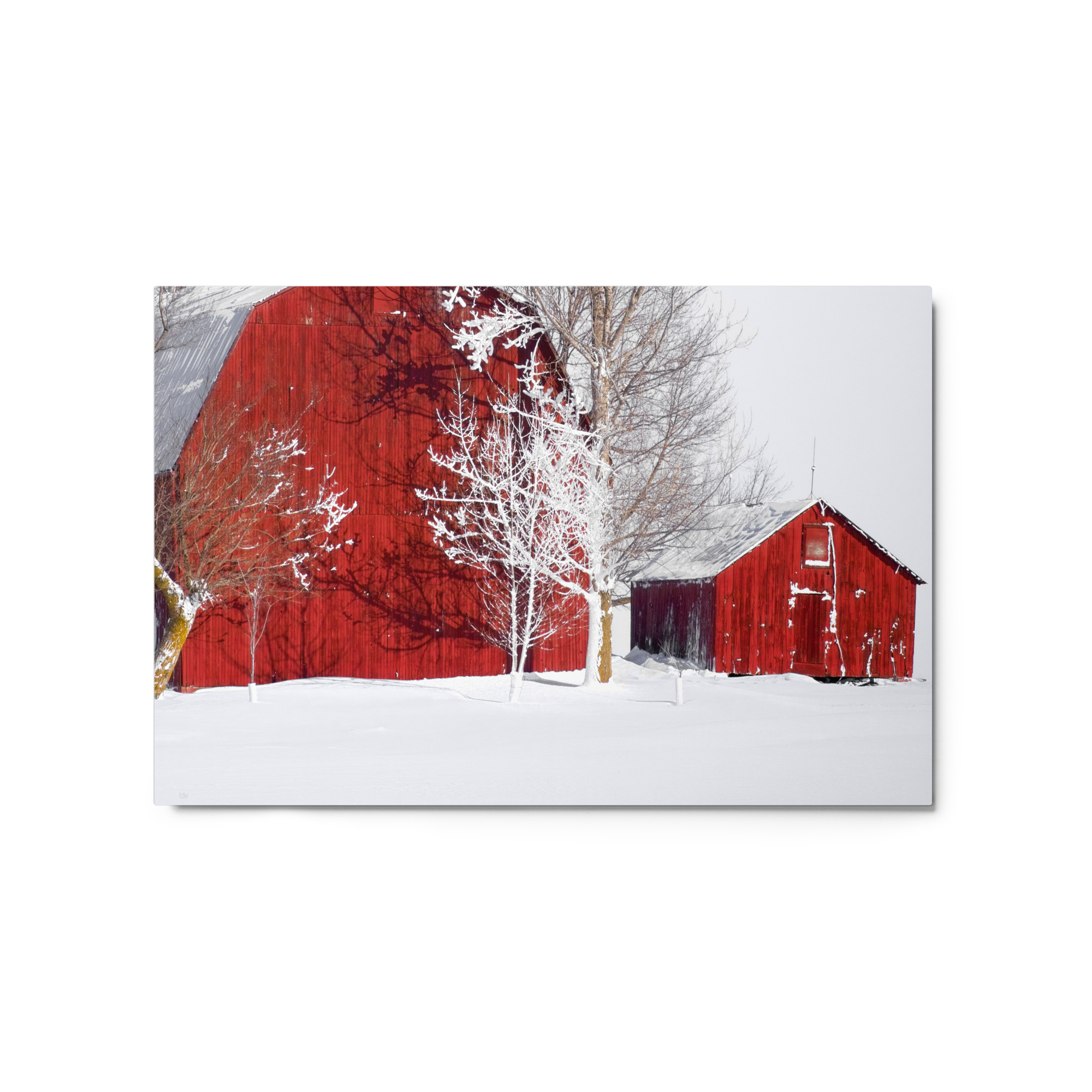 red barn winter 20x30 Metal prints