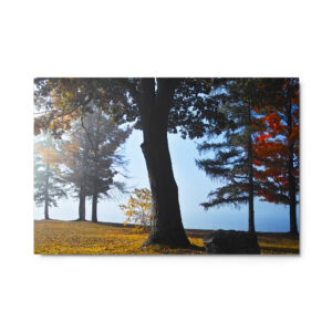 foggy pond morning 24x36 Metal prints