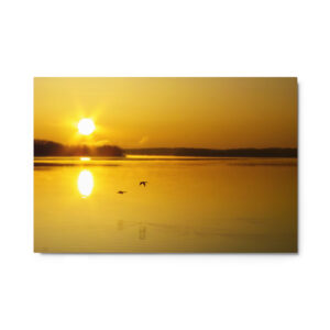 golden sunrise w ducks 24x36 Metal prints