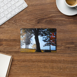 foggy pond morning Postcard