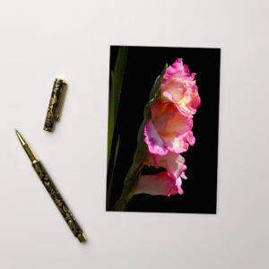 4 pink flowers Postcard