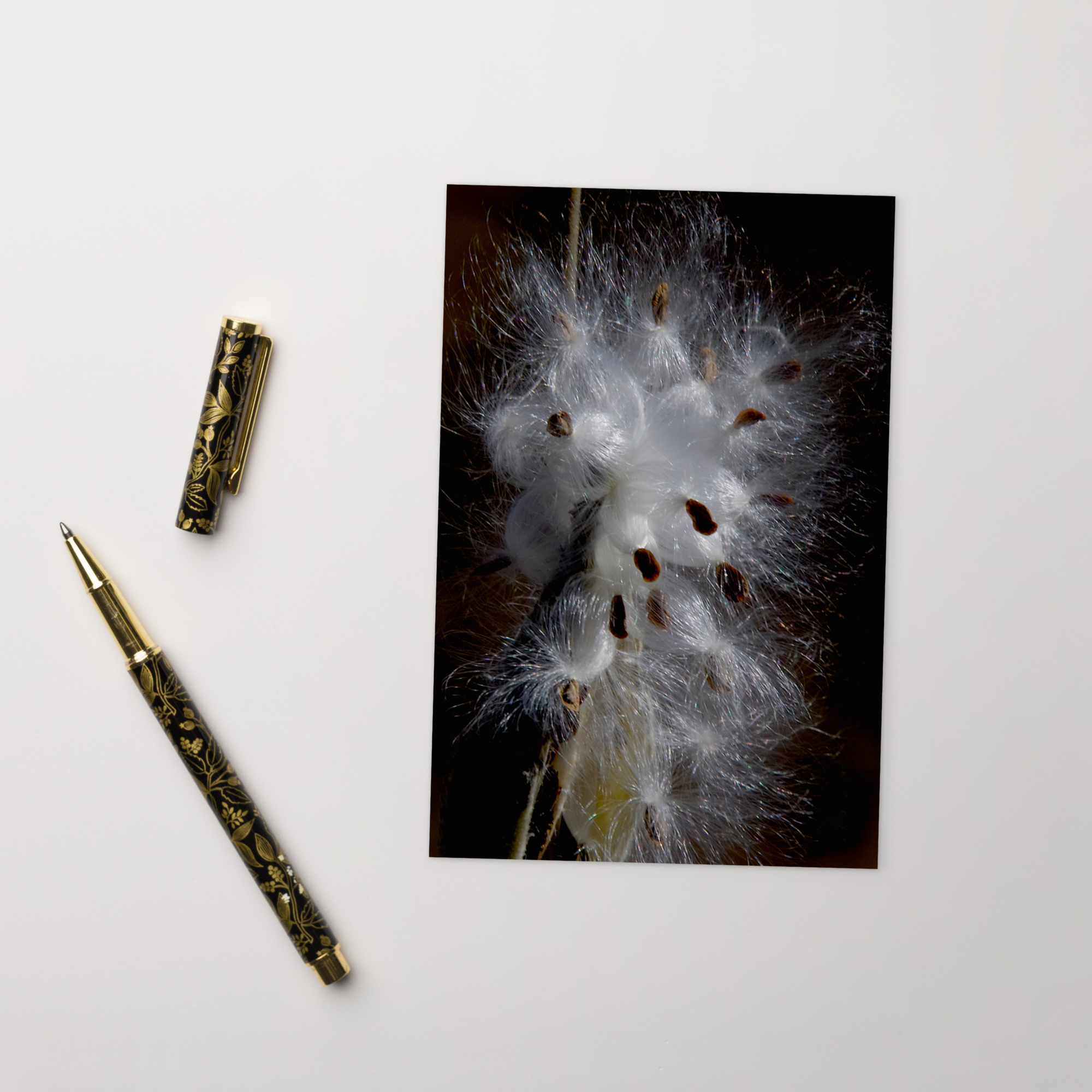 milkweed seeds Postcard