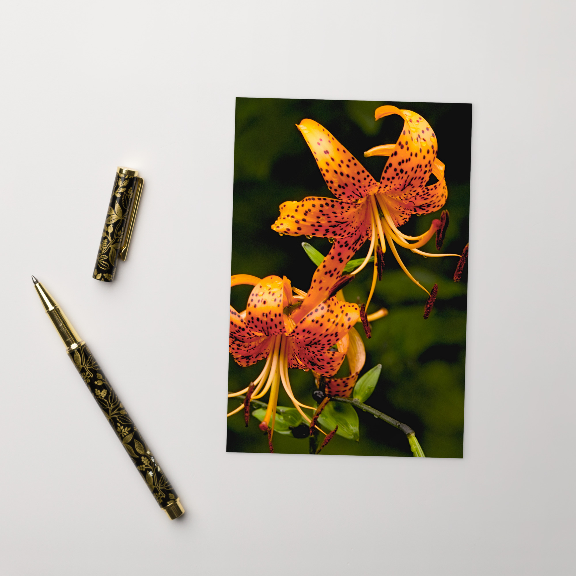 tiger lily Postcard